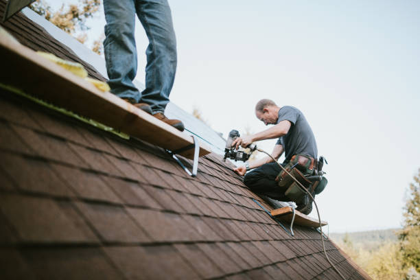 Best Local Roofing Companies  in Stryker, OH